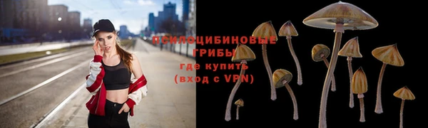 МДПВ Армянск